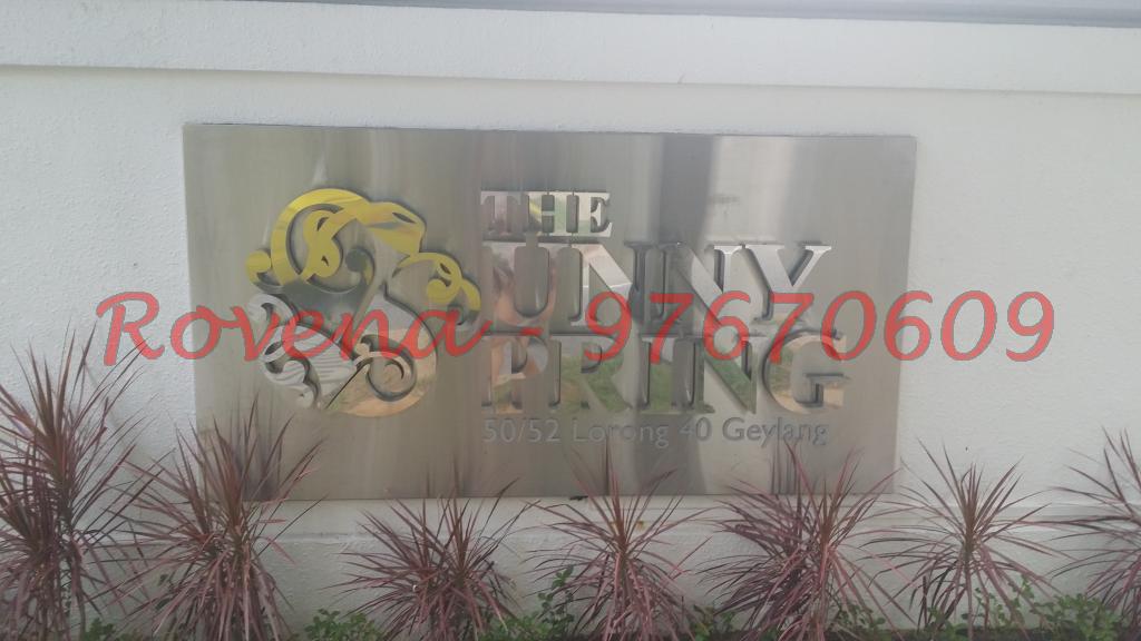 The Sunny Spring (D14), Apartment #97521122
